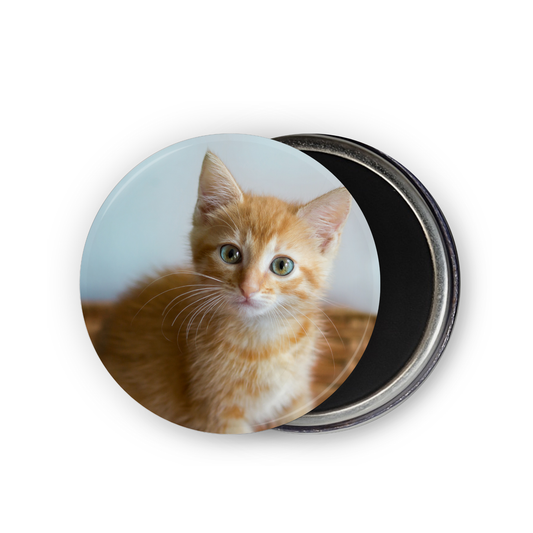 Round Photo Magnets